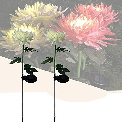 Lampes solaires de jardin de chrysanthème pour décorer une terrasse printanière