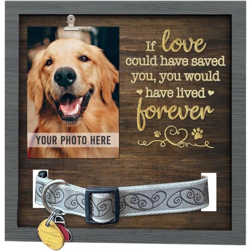 best memorial day pet deals