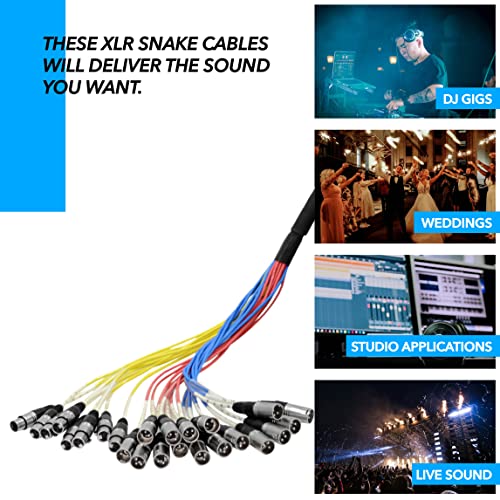 Image of Seismic Audio SACB-24x8x100 24-Channel XLR Low Profile Circuit Board 100-Feet Snake Cable