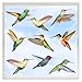 9 PCS Sticker Fenêtre Colibri,Empêcher l'autocollant de Fenêtre d'oiseau,Stickers fenêtre colibri aquarelle,Vinyle Autocollants pour Colibris,Adaptés À Toute Surface Lisse