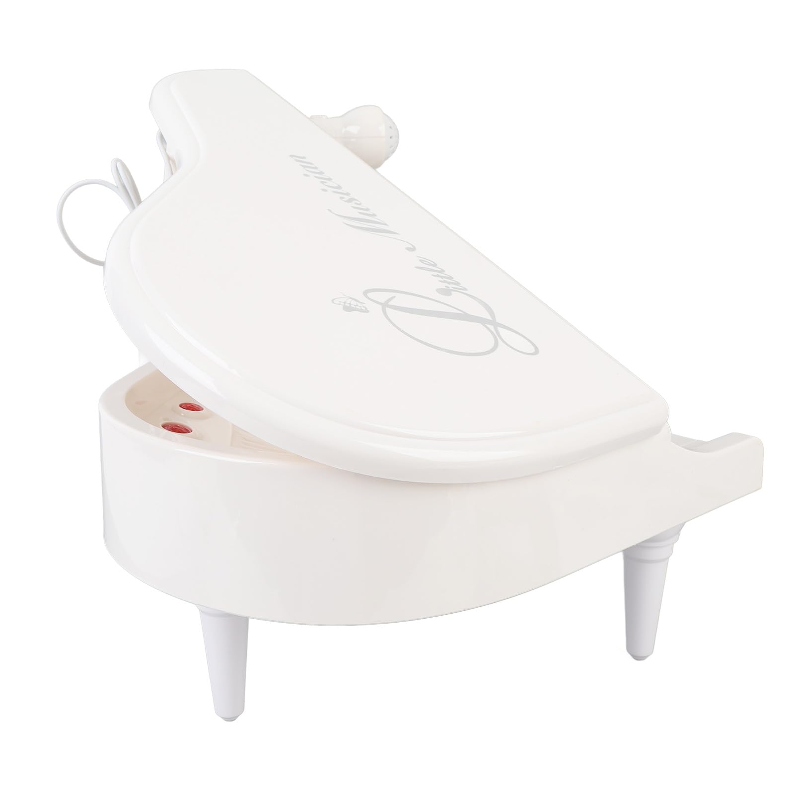Musicale Giocattolo per Bambini Tastiera Educativa a 31 Tasti con Microfono Perfetto per i Principianti (Bianco)