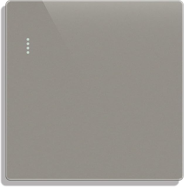 CNBINGO Big Rocker Button Switch with Phosphor Dots, Modern Matte Grey Wall Plate, Electrical Single Light Switch, 1 Gang 1 Way, 16A 250V