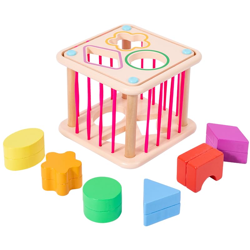 Image of Practical Life Wooden Geometric Shape Shaker Match & Post /Push & Pull Toys for Toddlers 3-6 Years Old Montessori Infant Baby Toys Girls & Boys Blocks Baby Birthday Gift (Color A)
