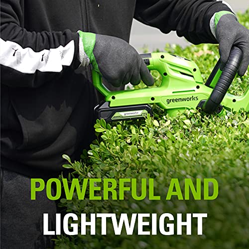 Greenworks accu G24B2 (Li-Ion 24V 2Ah herlaadbare krachtige accu geschikt voor al het gereedschap uit de Greenworks… - Afbeelding 6