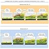 ADA Aqua Soil Amazonia Ver 2 (3L)