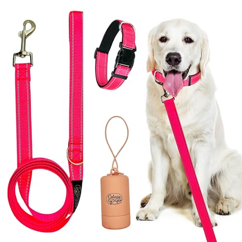 Daizzy Gear Reflective Dog Leash, Collar and Poop Bag Holder Bundle - Adjustable Durable Collar 5ft Leash for Small, Medium, Large Dogs - Soft-Handed with Padded Comfort for Evening Night Walks