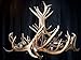 Real ELK Antler Chandelier, 8 Lights, SHED Antler Art, ELK Antler Covered SOCKETS Handmade, Large, 45