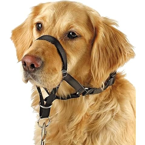 BARKLESS Soft Dog Head Collar, No Pull Training Tool for Small Medium Large Dogs on Walks, Gentle Training Collar and Control for Heavy Pullers, Includes A Training Guide Cover