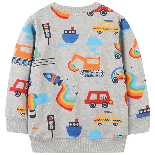 Image of AIWUHE Toddler Cotton Sweatshirt Boys Girls Pullover Long Sleeve Tops 2-6Y