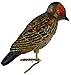 Old World Christmas Northern Flicker Brown Glass Blown Ornament for Christmas Tree, Handcrafted Holiday Decoration, Clip - Bird Watcher Clip Collection
