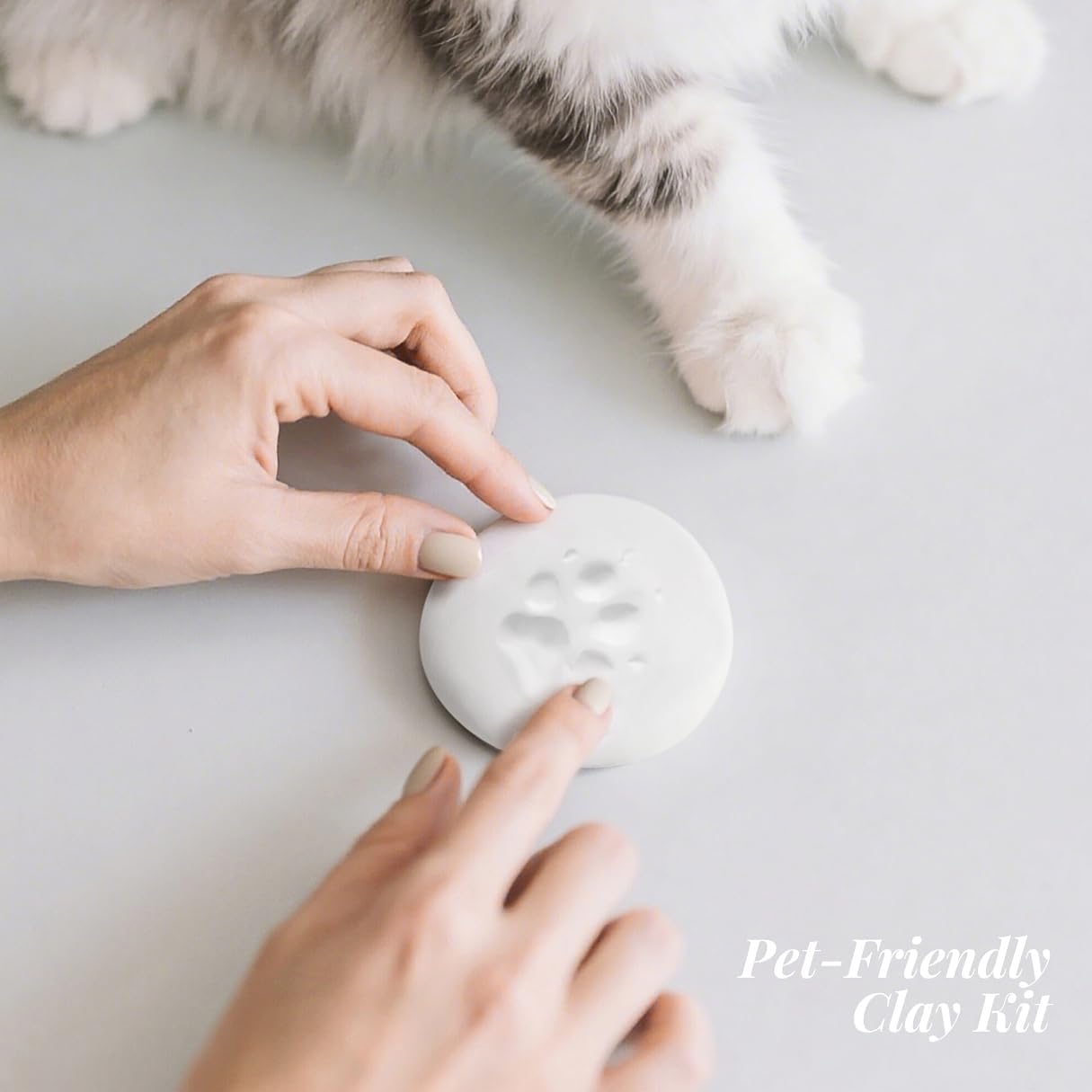 Pet Paw Print Photo Frame Kit for Dogs - Memorial Gifts for Loss of Dog, Clay Impression with Wooden Display, Remembrance Keepsake, Personalized Gift for Cats & Small Animal - Image 3