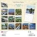 Virginia Wild & Scenic | 2025 12 x 24 Inch Monthly Square Wall Calendar | Plastic-Free | BrownTrout | USA United States of America Southeast State Nature