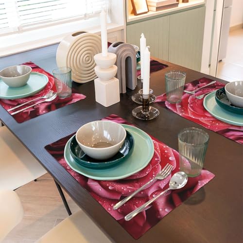 Set de table en lin lavable résistant chaleur décoration de table de cuisine