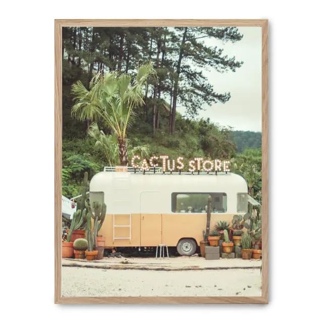 Cuadro cactus store FASE5 : une œuvre murale aux finitions graphiques d'exception