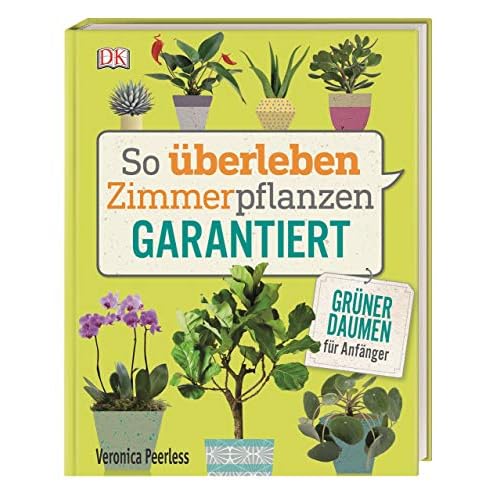 So überleben Zimmerpflanzen garantiert: Grüner Daumen für Anfänger 7 So überleben Zimmerpflanzen garantiert: Grüner Daumen für Anfänger