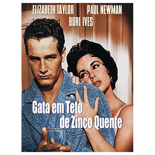 Gata Em Teto de Zinco Quente