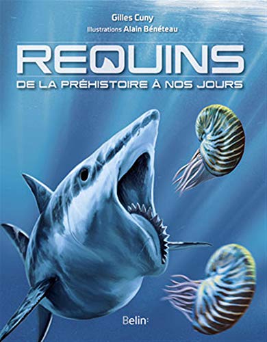 Requins de la préhistoire à nos jours
