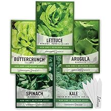 Gardeners Basics Lettuce and Greens Heirloom Vegetable Seed Non-GMO Seeds for Planting Indoors and Outdoor - Lettuce Buttercrunch, Romaine, Arugula, Kale and Spinach, Pack of 5