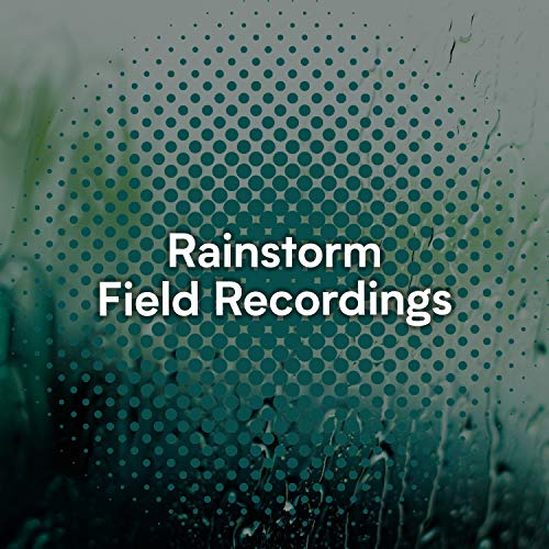 Amazon Music Pro Sound Effects Libraryの" Soft Rainstorm & Water Field