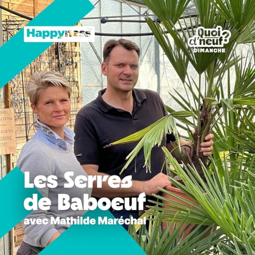 QDN Dimanche 21/09/25 - Les Serres de Baboeuf cover art