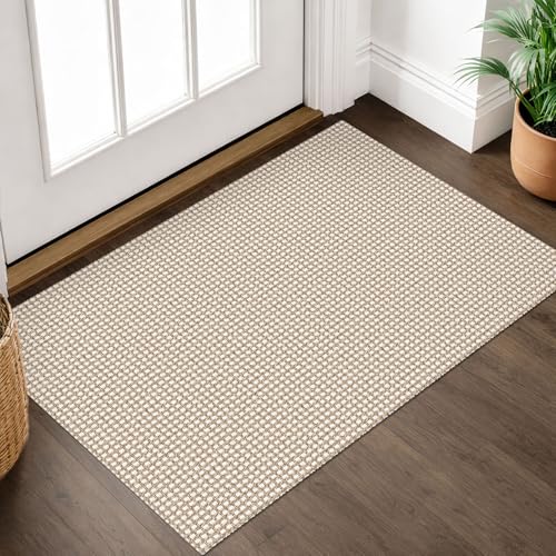 IOHOUZE 2x3 Entryway Rug