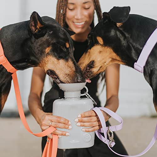 Springer Dog Travel Water Bottle | As Seen on Shark Tank | Patented, Leak-Proof, Portable Water Bottle for Dogs | BPA… - Image 6