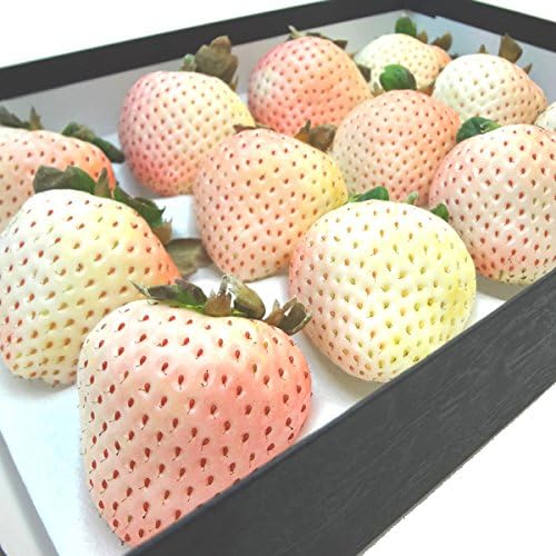 Amazon 佐賀県産 白いいちご 雪うさぎ 大粒１２入り 果実庵 いちご 通販