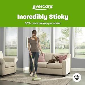 Evercare All-Purpose Pet Mega Oversized Lint Roller Refills, Green, 3-Pack (150 Sheets)