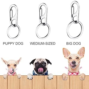 Boao 6 Pieces Dog Tag Clips Pet ID Tag Clips with 18 Pieces Durable Stainless Steel Rings Personalized Clips Pet ID Tag Holder for Cats Dogs Collars Harnesses in 3 Sizes Boao 6 Pieces Dog Tag Clips Pet ID Tag Clips with 18 Pieces Durable Stainless Steel Rings Personalized Clips Pet ID Tag Holder for Cats Dogs Collars Harnesses in 3 Sizes