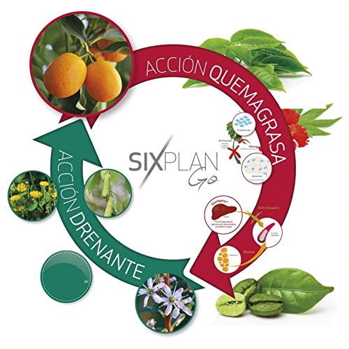 Nutricosmetics - Eladiet Sixplan Go 12 Stick