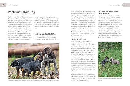 Der Jagdgebrauchshund-Jährling: Sicher durch die Anlagenprüfungen: Empfohlen vom Jagdgebrauchshundverband (BLV Jagdhunde)