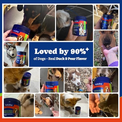 Image of Flea and Tick Prevention for Dogs Chewable - Duck & Pear Flavor - Dog Flea and Tick Treatment Chewable, Natural Defense- Dog Immune Support Supplement, 2 Pack