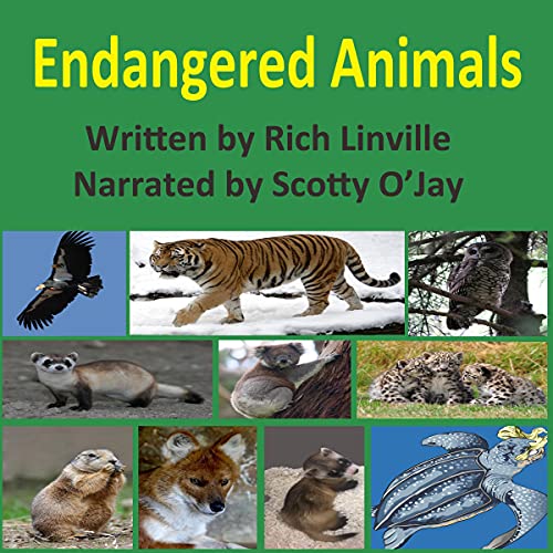 Endangered Animals by Rich Linville episode artwork