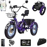 CroSight T3 Fat Tire Folding Trike