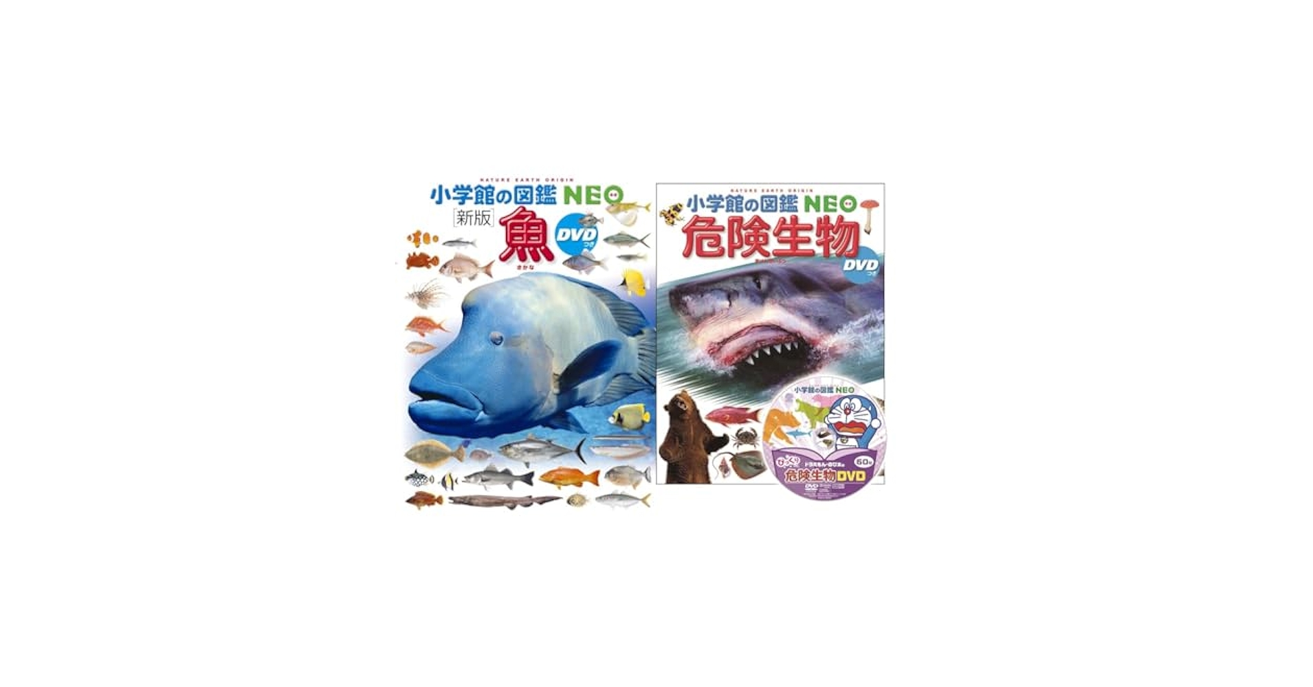 ⭐︎図鑑5冊セット⭐︎危険生物＋恐竜＋昆虫＋魚＋動物 71LpJ7ZBhjL.jpg