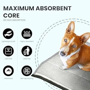 Healqu Puppy Pads – 24×24 100 Count Dog Training Pad Black Charcoal, Activated Carbon & Advanced Leakproof Technology – Ultra Absorbent, Puppy Pee Pads – Dogs, Puppies, & Cats, Pet Training Pads