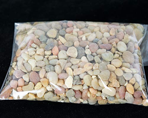 6.25" Oval Dark Green Shohin Bonsai/Succulent Pot + Tray + Rock + Mesh Combo #TOP4