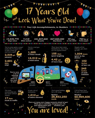Card Birthday Boy's Or Girl's Life In Numbers - 17Th Birthday Decorations - Girl Boys Birthday Gift Ideas For 17 Years Old - 17Th Birthday Gifts For Girls Or Boy - 17 Birthday Poster [Unframed 8X10] #TOP7