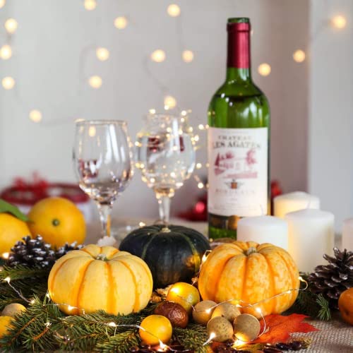 Sanniu SN5MBFSXD Led String Lights, Mini Battery Powered Copper Wire Starry Fairy Lights, Battery Operated Lights For Bedroom, Christmas thumb #2