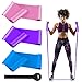 MMTX Bandas de Resistencia, Bandas de Estiramiento con 3 Niveles de Resistencia con Ejercicios de Entrenamiento Fisioterapia, Gimnasio en casa, Pilates, Yoga, Entrenamiento para Mujeres Hombres Niños