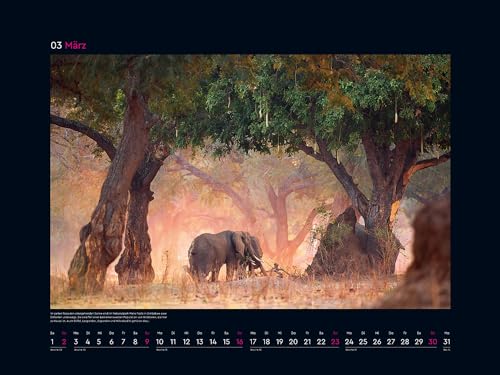 Wall Calendar The Natural Heritage of the World 2025, multicoloured, 60B x 45H cm - Image 4