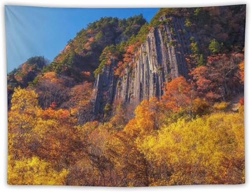 쌧 яH̕zR ^yXg[ wiz z {̕iʐ^ |X^[ 唻 Ǌ| Ǐ CeA @\  ⑋̏ ͗lւ rO[ xbh[ 75×100cm (60X50 Inchj 150x100cm