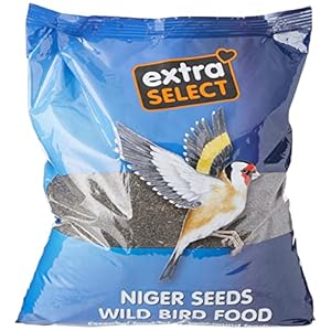 Extra Select Niger Seed Wild Bird Food, 2 kg