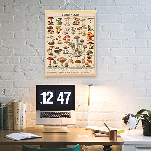 Theodora Vintage Mushroom Poster ,Wall Art Prints Colorful Rustic Style Mushroom Reference Chart Poster Hanging For Office Dining Room Bedroom Cottagecore Wall Decor 15.7X 23.6 Inches… #TOP1
