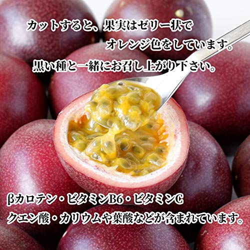 Amazon.co.jp: 沖縄県産パッションフルーツ 沖縄琉堂【「香りの王様