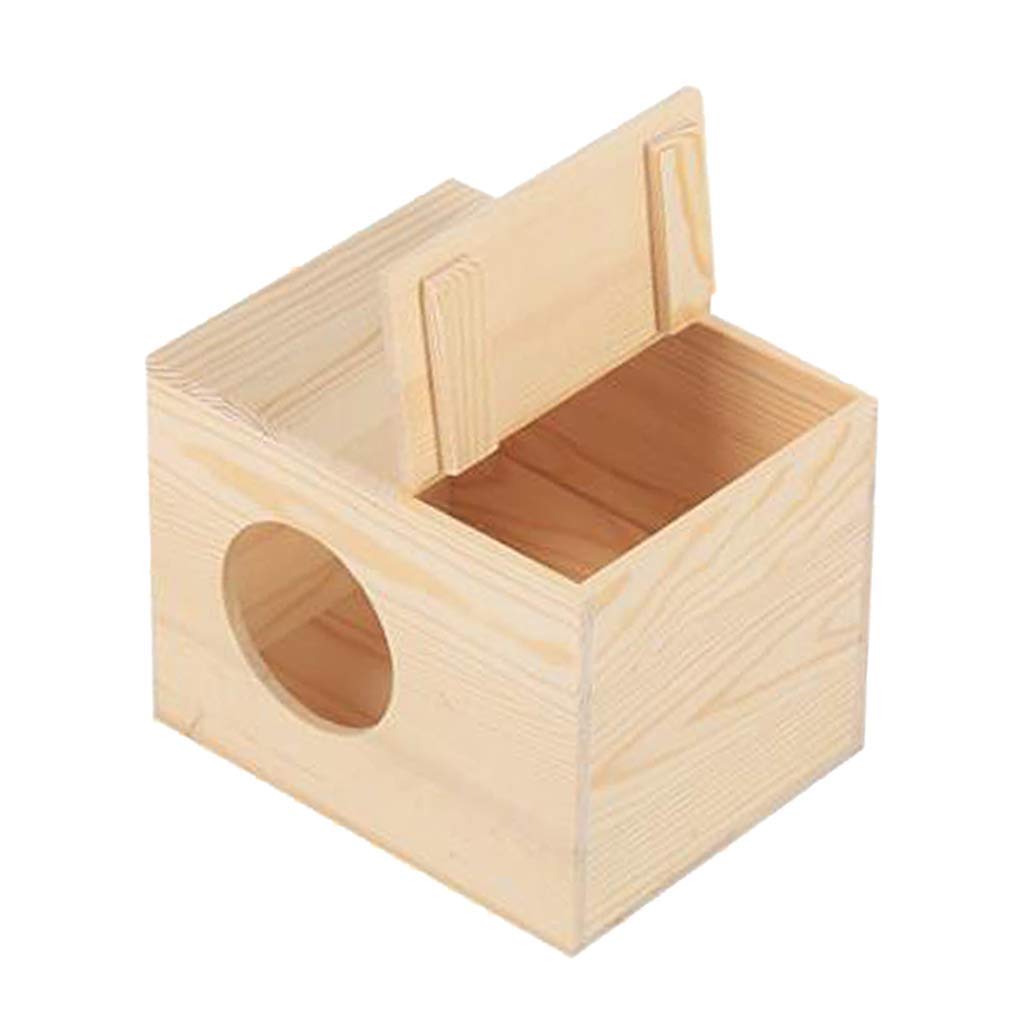 Nichoir de jardin en bois pour perruches ondulées et calopsittes