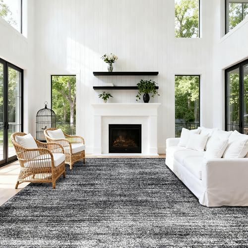 BILEEHOME 8x10 Area Rugs for Living Room, Abstract Black Boho Rug for Bedroom Design, Black and White 8 x 10