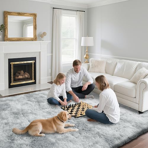 Fluffy Rug Shaggy Area Rug, Mottling Grey 3x5 Area Rugs for Bedroom, Small Bedside Rug, Soft Fluffy Shaggy Entryway Throw Rugs for Living Room Bedroom Kids Room Home Decor