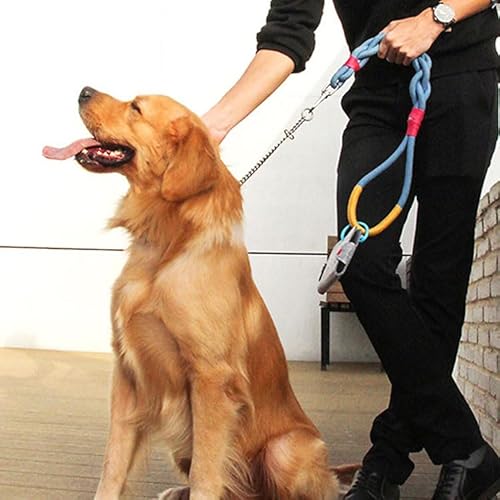  [h ^ ^  ybgpi o U 킢 lC Z[ ISPET ParisDog pXhbO yISPET^pX^CbV[hz(u[)