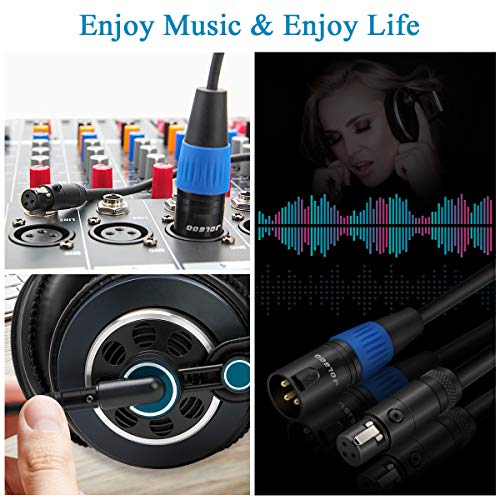 Xlr Male To Mini Xlr Female Adapter Cable, 3-Pin Xlr Male To 3-Pin Mini Xlr Female Adapter Cable, 1 Feet - Jolgoo #TOP5